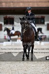 ref. photo 3229310