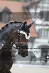 ref. photo 3229336