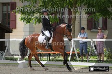 ref. photo 3229377