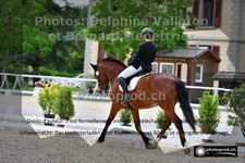 ref. photo 3229403
