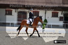 ref. photo 3229408