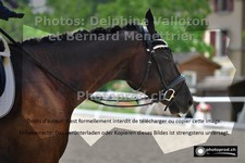 ref. photo 3229436