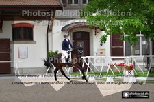 ref. photo 3229491