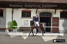 ref. photo 3229498