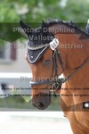 ref. photo 3229506