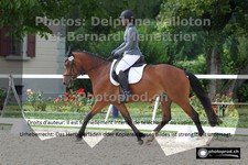 ref. photo 3229513