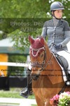 ref. photo 3229522