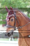 ref. photo 3229523