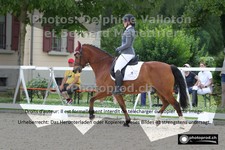 ref. photo 3229528