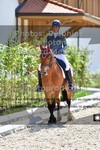 ref. photo 3229543