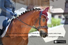 ref. photo 3229544