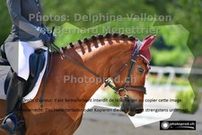 ref. photo 3229549