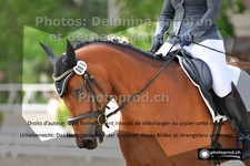 ref. photo 3229587