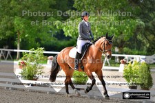 ref. photo 3229595