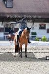 ref. photo 3229603