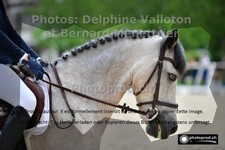 ref. photo 3229635
