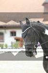 ref. photo 3229661