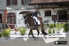 ref. photo 3229695