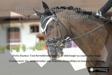 ref. photo 3229708