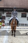 ref. photo 3229718