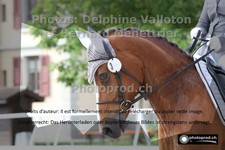 ref. photo 3229720