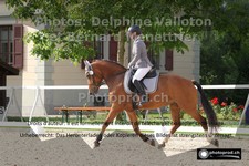 ref. photo 3229724
