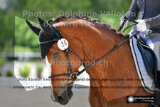 ref. photo 3229737