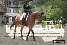 ref. photo 3229800