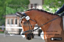 ref. photo 3229812