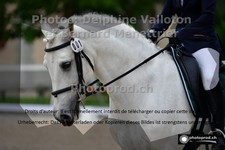ref. photo 3229865