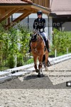 ref. photo 3229884