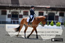 ref. photo 3229899