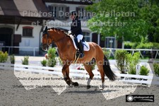 ref. photo 3229910