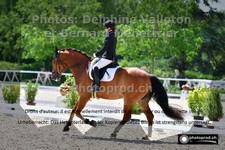ref. photo 3229915