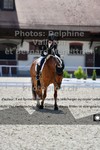 ref. photo 3229921