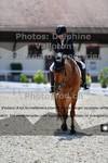 ref. photo 3229922