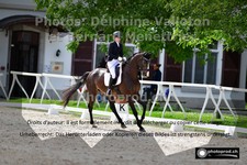ref. photo 3229957