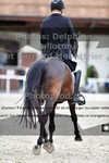 ref. photo 3230029