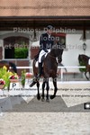 ref. photo 3230034