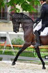 ref. photo 3230041