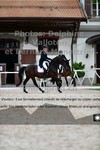 ref. photo 3230072
