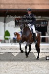ref. photo 3230078