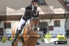 ref. photo 3230127