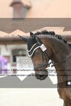 ref. photo 3230131