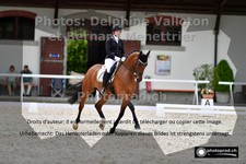 ref. photo 3230180