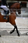ref. photo 3230188