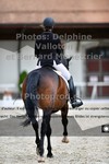 ref. photo 3230217