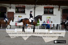 ref. photo 3230235