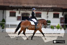 ref. photo 3230280
