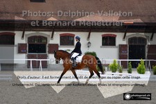 ref. photo 3230281